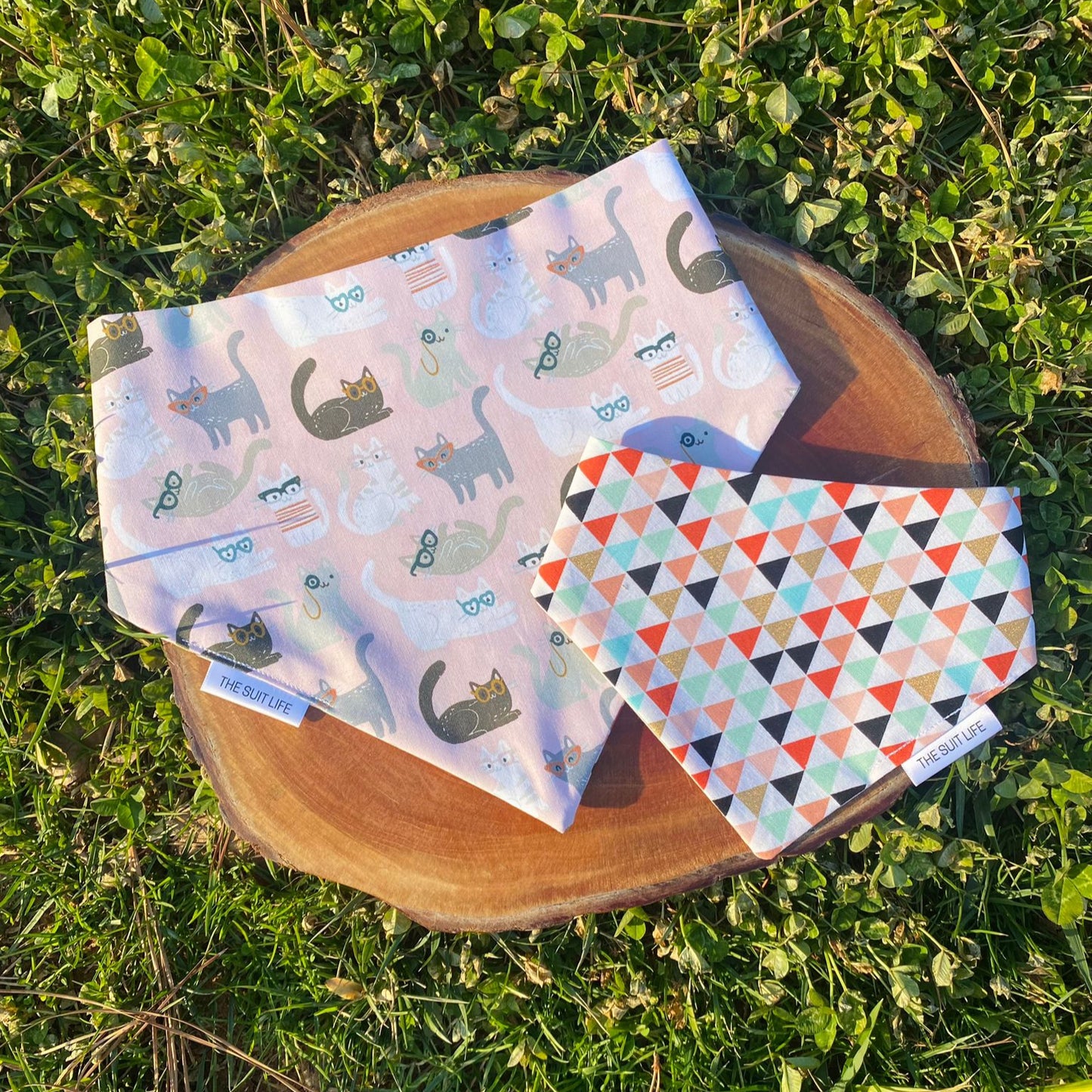 Reading is Funda(meow)ntal